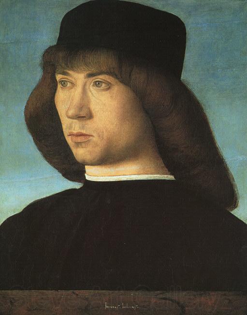 BELLINI, Giovanni Portrait of a Young Man 3iti Norge oil painting art